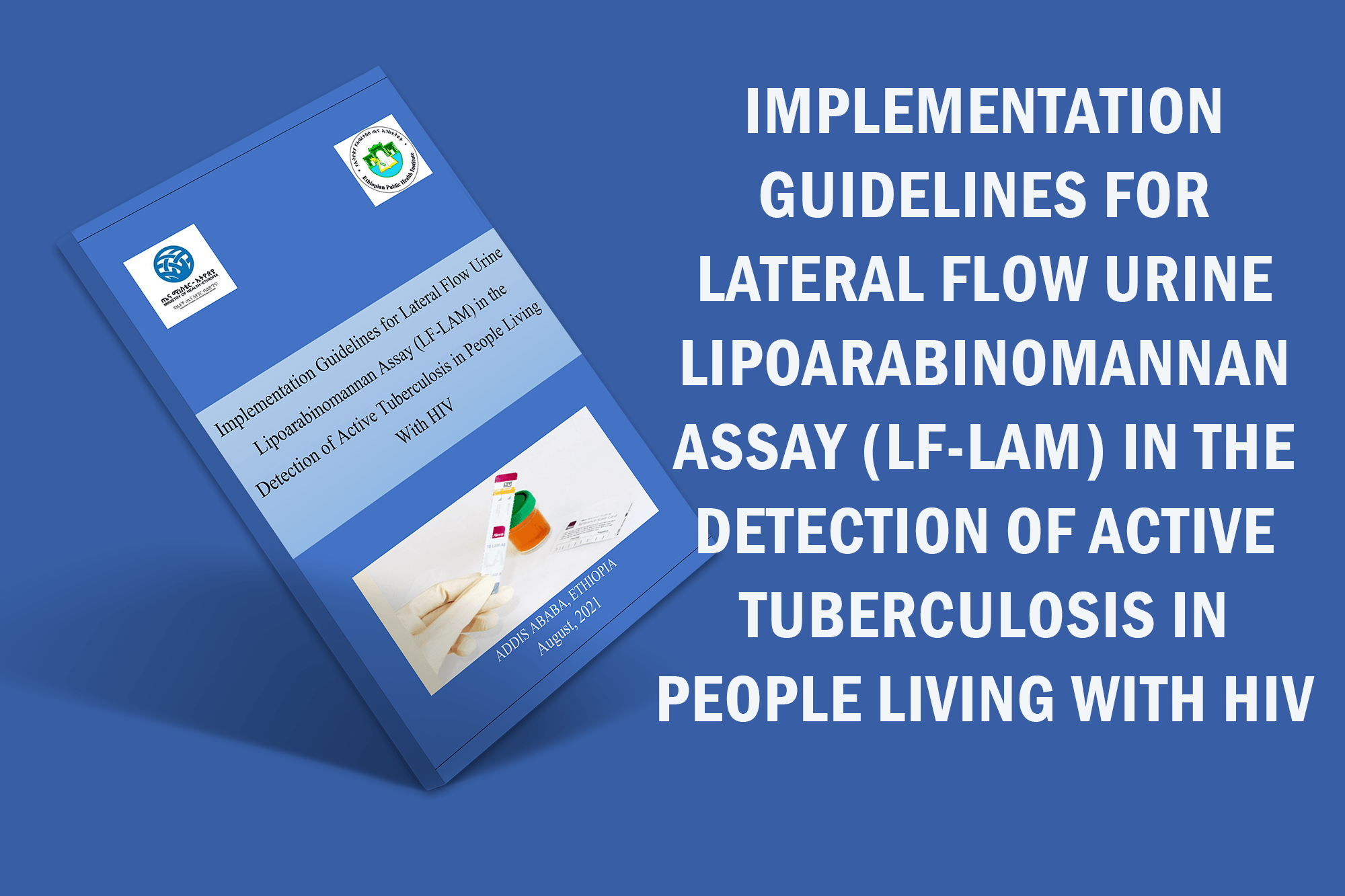 Implementation Guidelines for Lateral Flow Urine Lipoarabinomannan Assay (LF-LAM) in the Detection of Active Tuberculosis in People Living With HIV