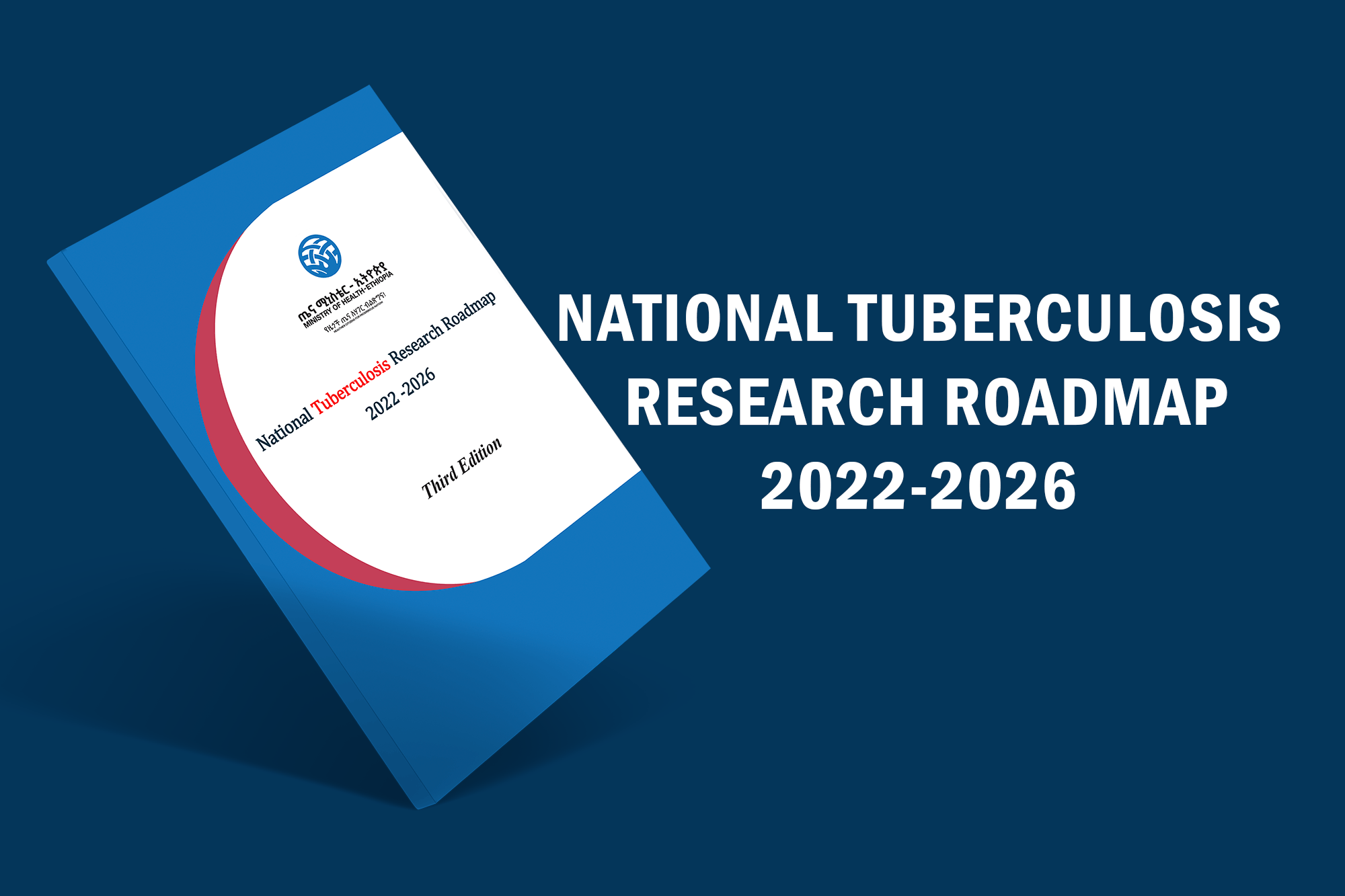 National Tuberculosis Research Roadmap: 2022-2026